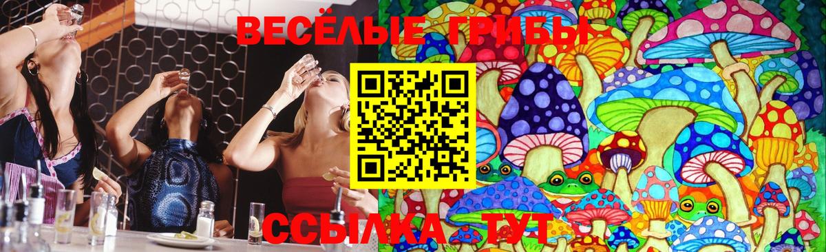 Каннабис  МЕТ  Курган  Меф МЯУ МЯУ кристаллы  Бошки Шишки  ГАШИШ  Вход с VPN 